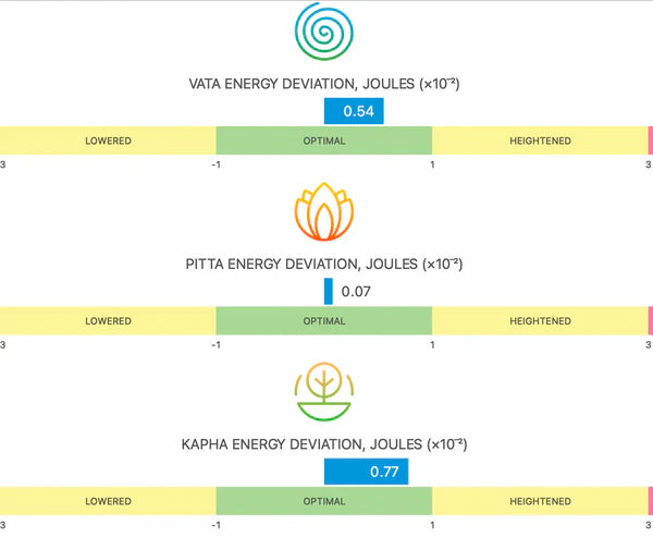 Bio-Well scan price: what to expect and what's included