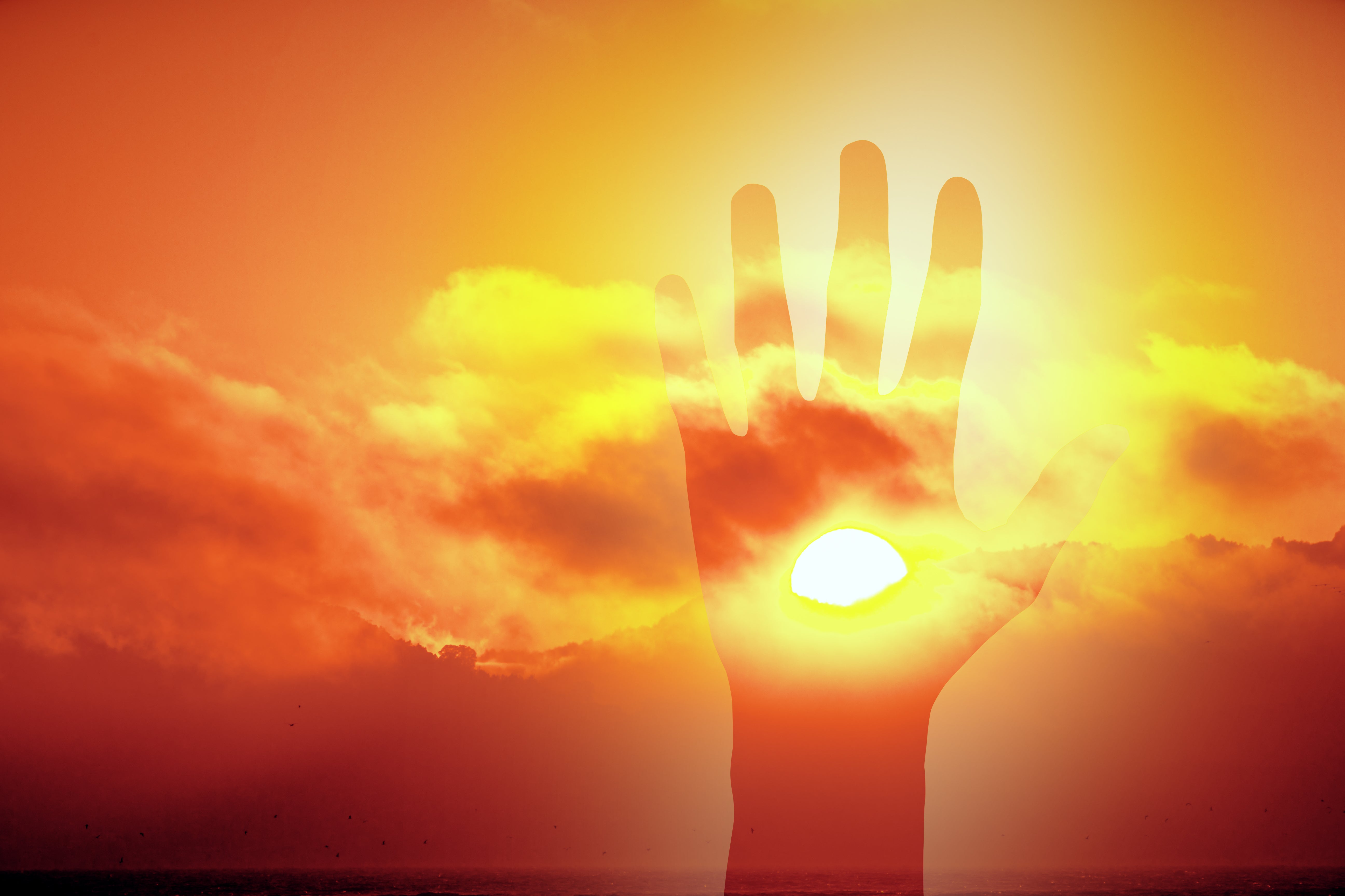 Understanding Energy Fields: The Science Behind Your Body's Biofield