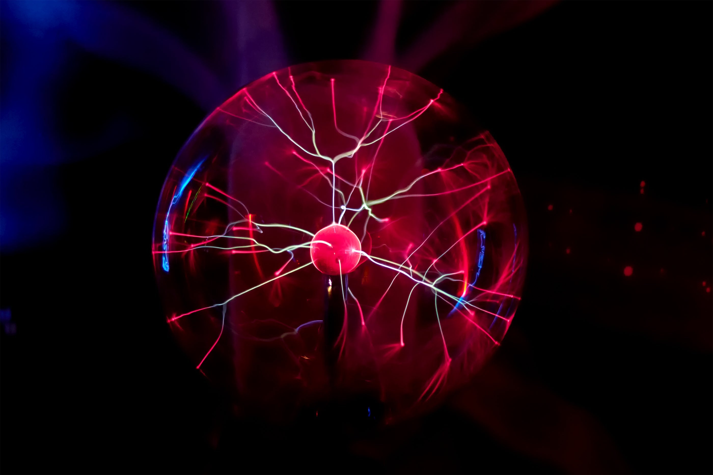 Leukocyte Counts and GDV: What Blood Markers Reveal About Energy Patterns