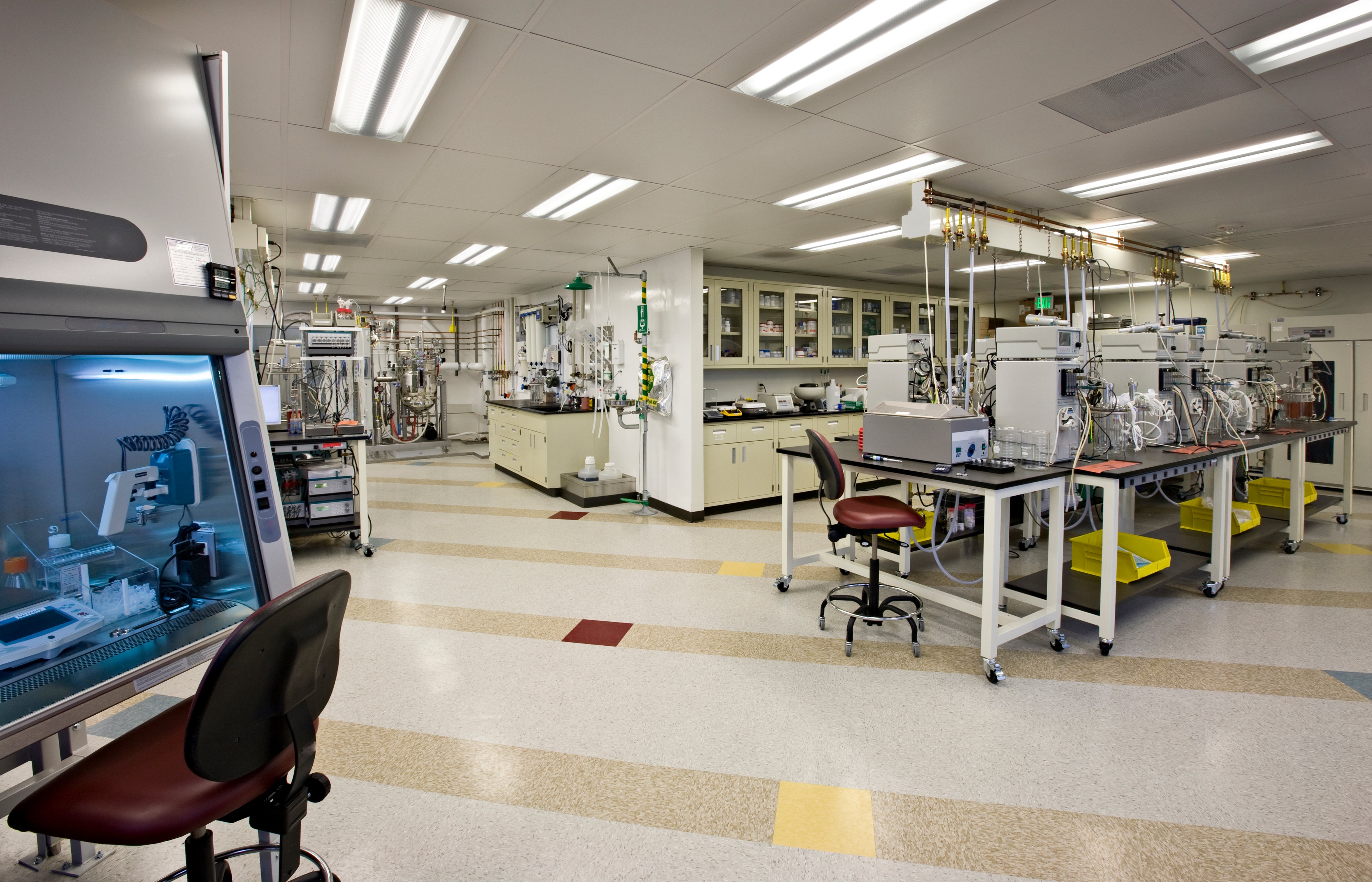 20 Mind-Blowing Facts About Human Energy Fields That Will Change How You See Your Body