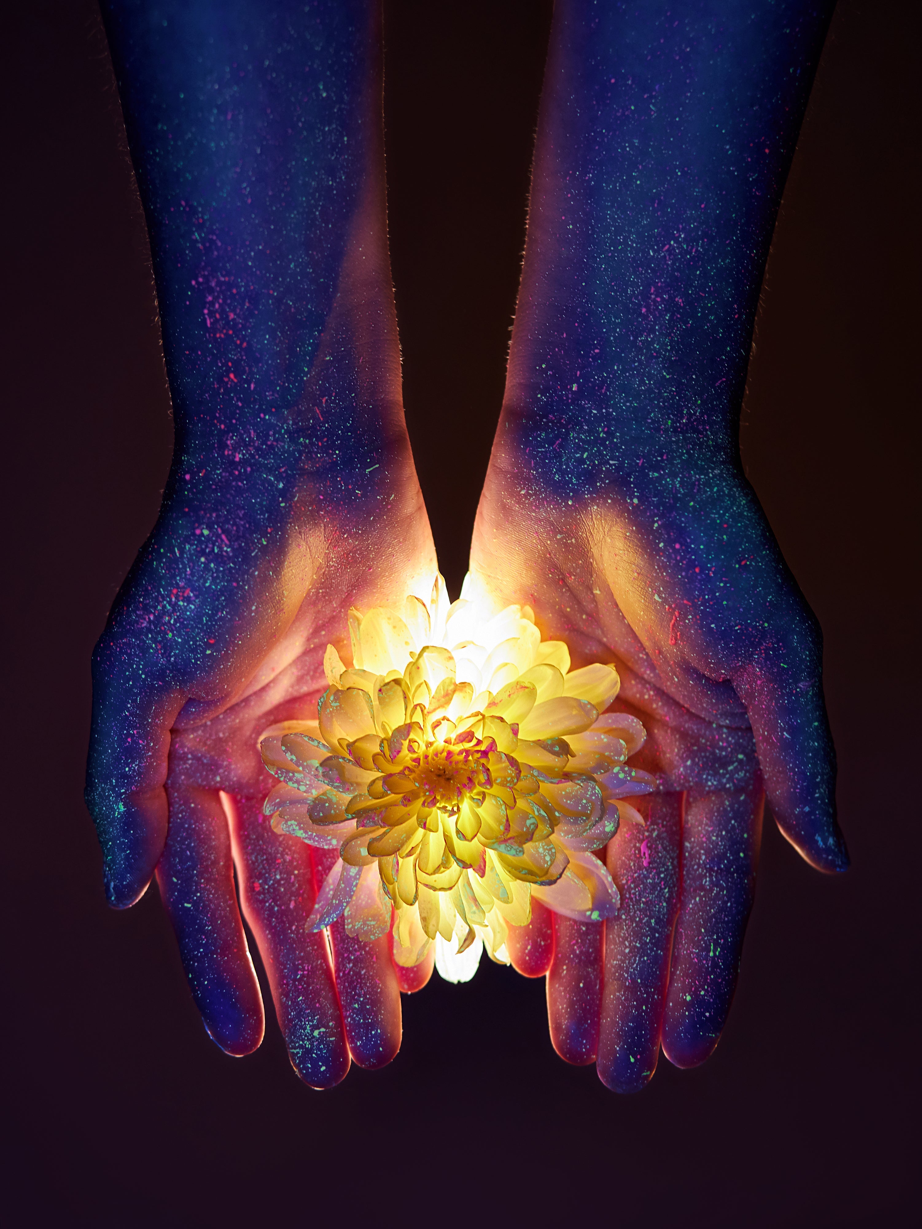 Your Body is Literally Made of Light: The Mind-Blowing Science That Changes Everything