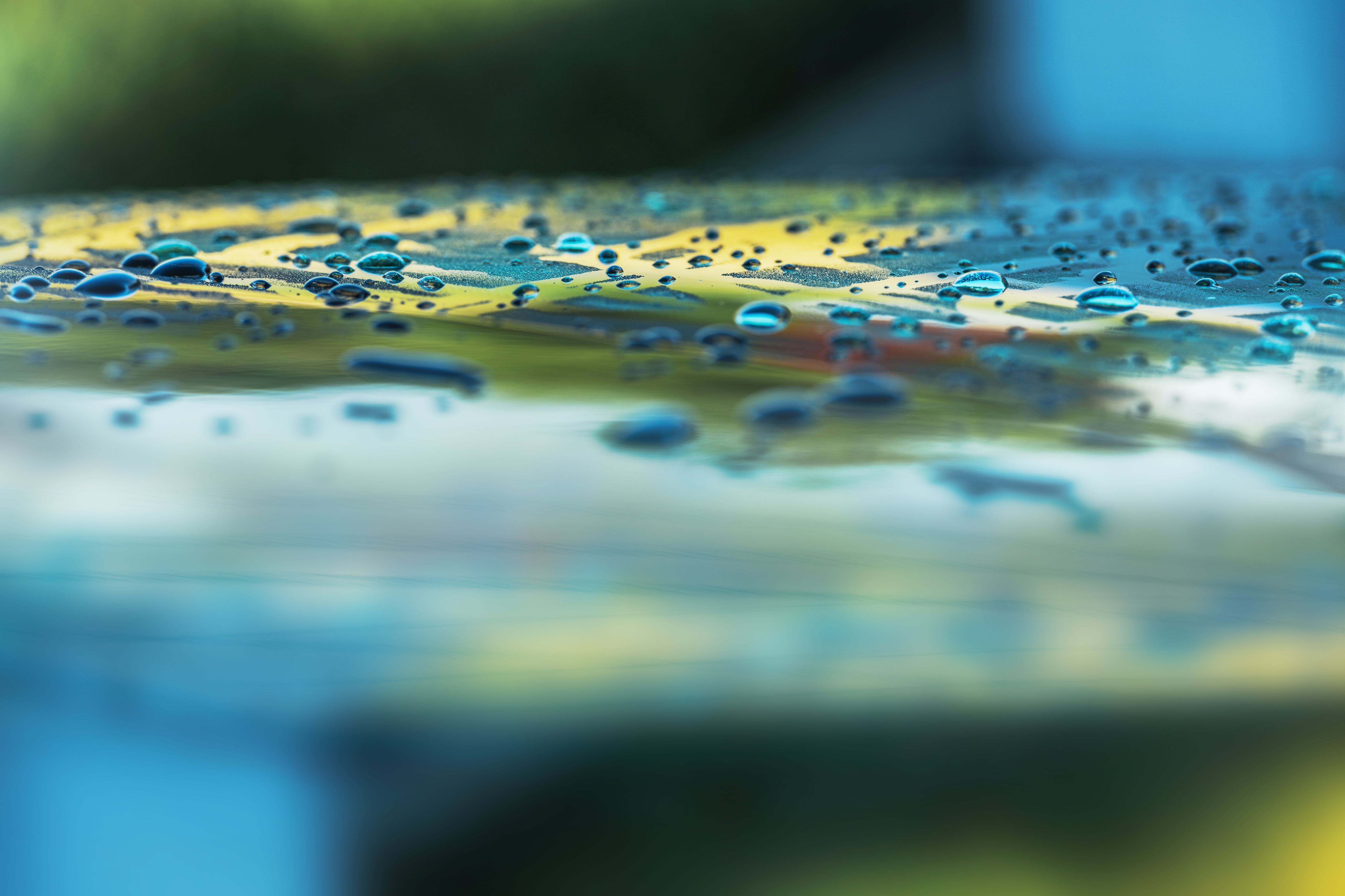 One Liter a Day. Thirty Days. This Is What Changed.